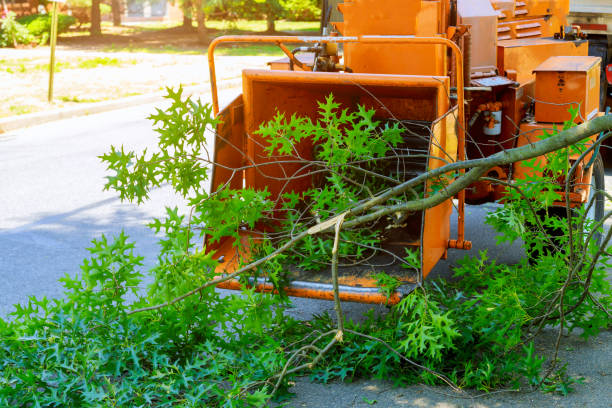 Lawn Grading and Leveling in Garnet, CA